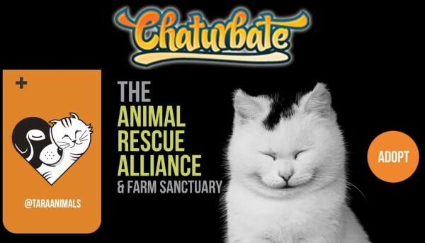Chaturbate Supports 'Vice Is Nice' Fundraiser